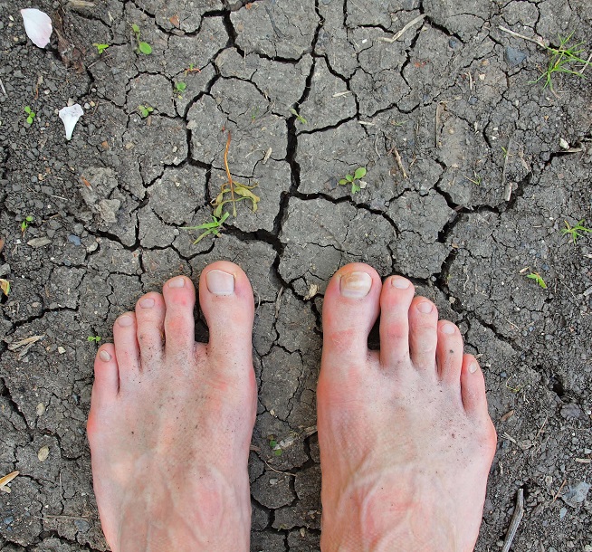 rozdwajające się paznokcie u stóp